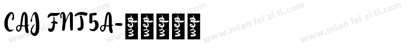 CAJ FNT5A字体转换